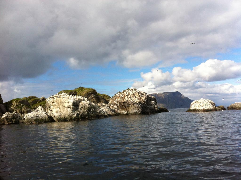 Buodden Rorbuer - Fisherman Cabins Sørvågen Dış mekan fotoğraf